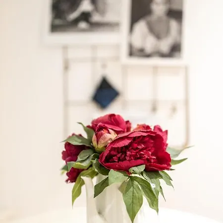 In The Center Apartment Piran