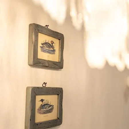 In The Center * Piran