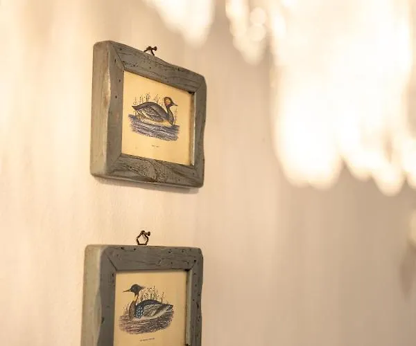 In The Center * بيران